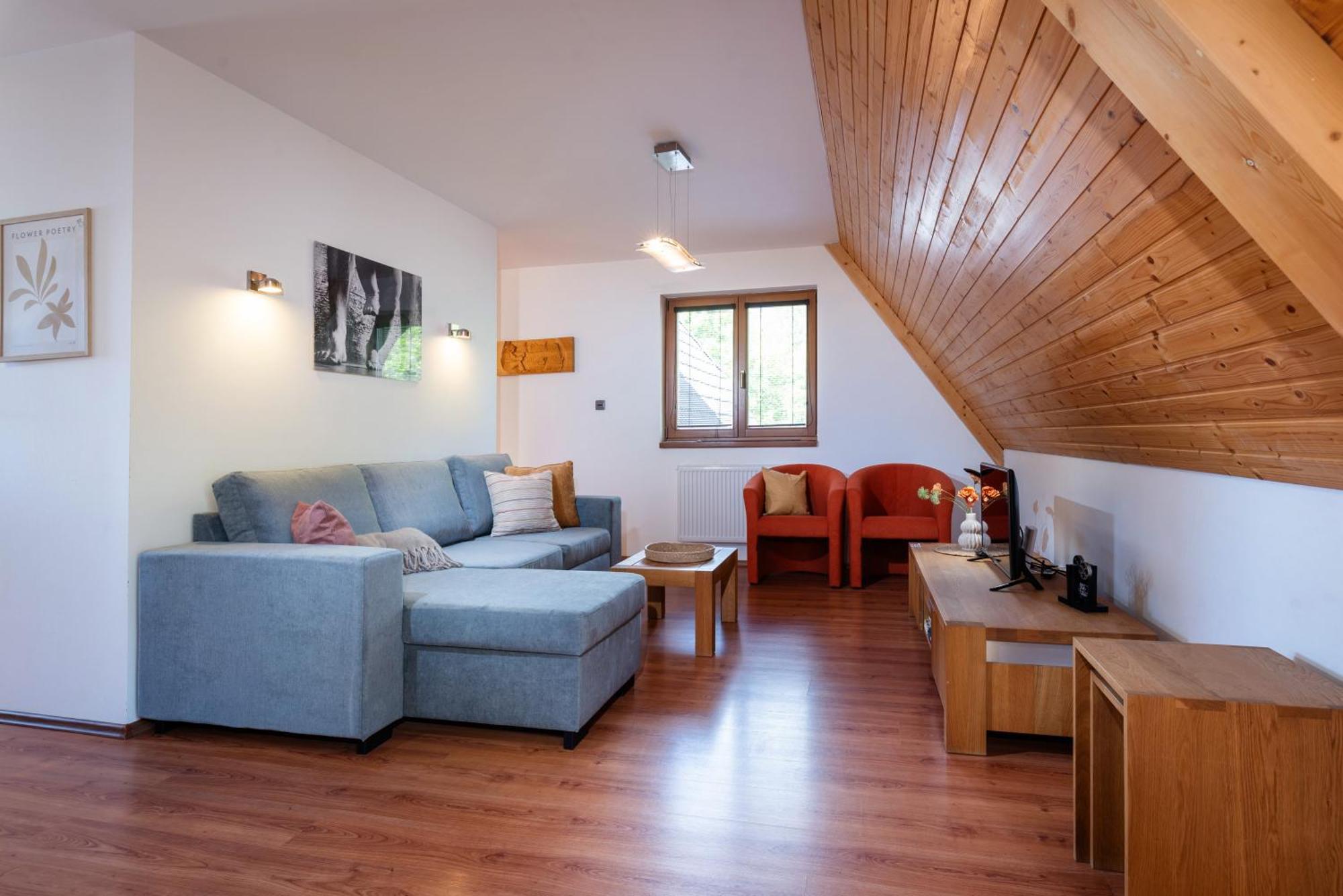 Tatrystay Julia Apartments タトランスカ・ ロムニツァ エクステリア 写真